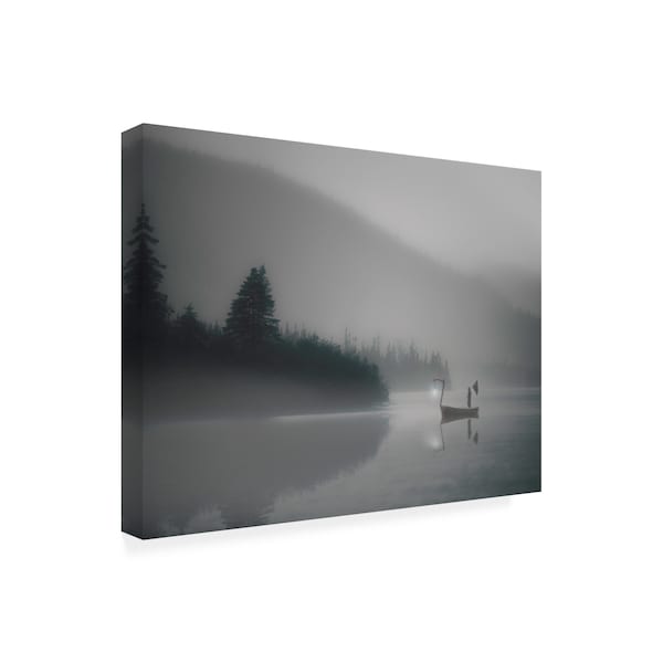 David Senechal Photographie 'The Pilgrim Mists' Canvas Art,35x47